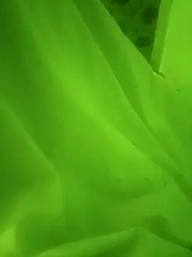 CylindricalLeaf7 online show from January 16, 2:09 pm