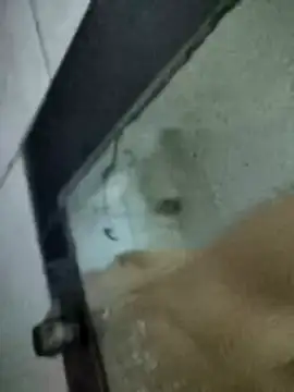 Amoooooun online show from January 15, 7:12 am