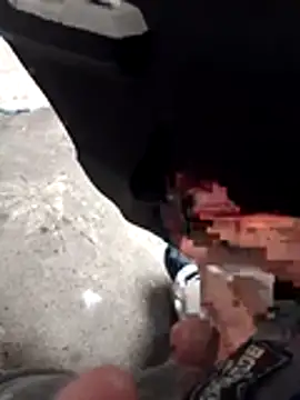 Mar81 online show from April 15, 12:05 pm