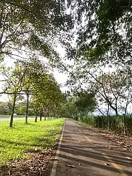 Maicol xxxx online show from March 28, 9:37 pm