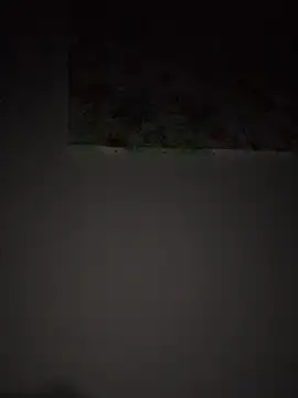 mhhgfffghh online show from July 2, 8:04 pm