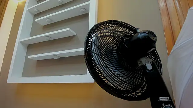 james  walsh online show from February 2, 7:44 pm