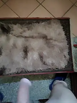 TAMI61 online show from March 25, 3:05 pm