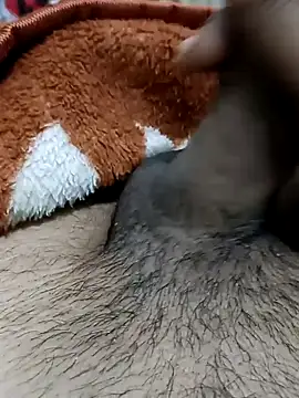  chota bunny  online show from February 22, 7:54 am