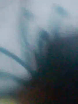 AlejandreBy online show from March 24, 5:34 am