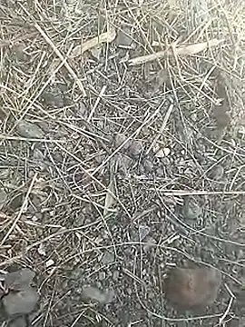 Cute Boy 4 online show from March 8, 7:45 am