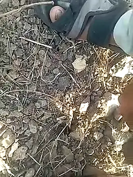 Cute Boy 4 online show from February 12, 11:16 am