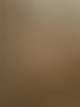 bigbooietx online show from March 10, 9:04 am