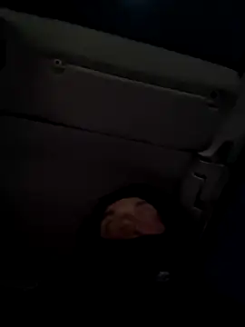 BroodedUlster online show from April 6, 1:02 am