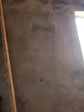 mollyboydick online show from March 8, 10:30 am