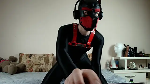 K9 GoodBoy online show from April 26, 9:22 pm