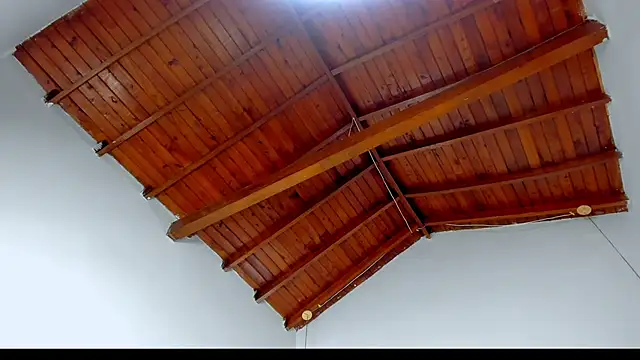 TonyPetrovjs online show from February 25, 4:24 am