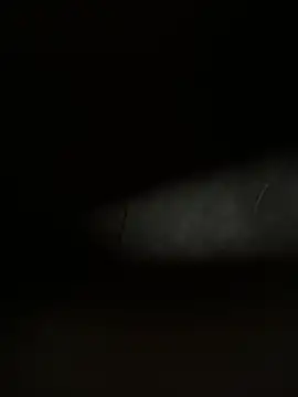 neekosam12 online show from March 23, 5:08 pm