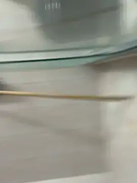 David-latinlover online show from March 29, 10:43 pm