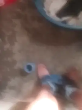 bhereee online show from March 30, 6:25 am