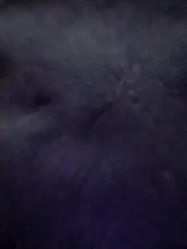 -Apolo ayala- - online show from April 12, 12:58 am