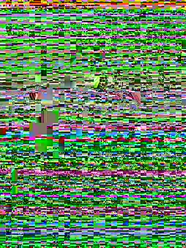 ck1998 02 online show from June 28, 9:59 am