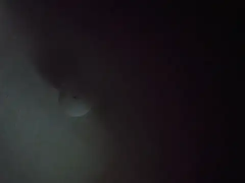 CurveBallbae67 online show from July 6, 4:42 pm