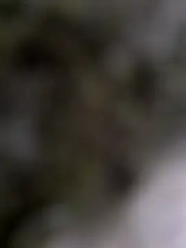 Snapshot of Demillvan chatting on January 15, 2:56 pm Demillvan online show from January 15, 2:56 pm