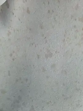 415cali925 online show from March 17, 6:54 pm