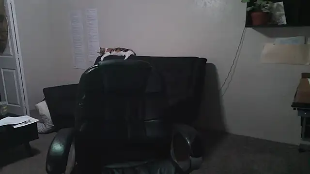 iramos491 online show from September 23, 10:14 am