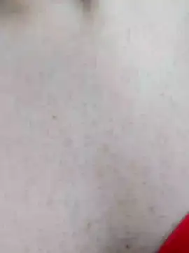 Snapshot of mister-dwt chatting on December 19, 12:45 pm mister-dwt online show from December 19, 12:45 pm