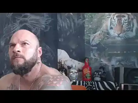 viking 30 online show from April 15, 10:37 am