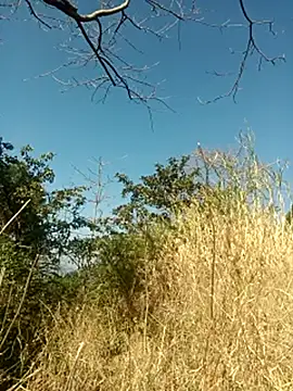 SunnyleoneBG online show from February 6, 5:03 am