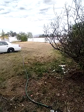 Chacal Armyy online show from March 9, 11:21 pm