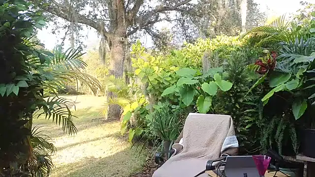 eliberator1777 online show from January 31, 9:37 pm