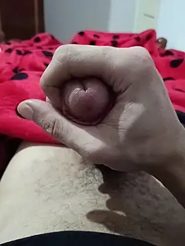 Prince R9 online show from November 28, 12:14 am