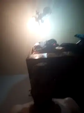 Sines21 online show from April 28, 1:55 am