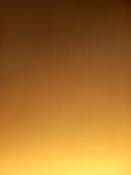 FinableKnee online show from December 4, 1:12 am