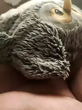 faphouse186582 online show from January 24, 5:10 am