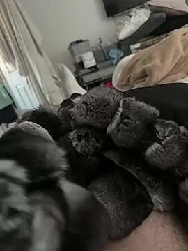 Furdale online show from January 19, 2:52 pm