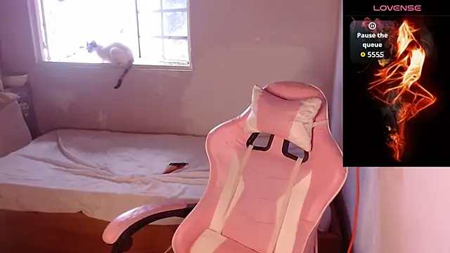 Apolo S online show from January 18, 8:00 pm