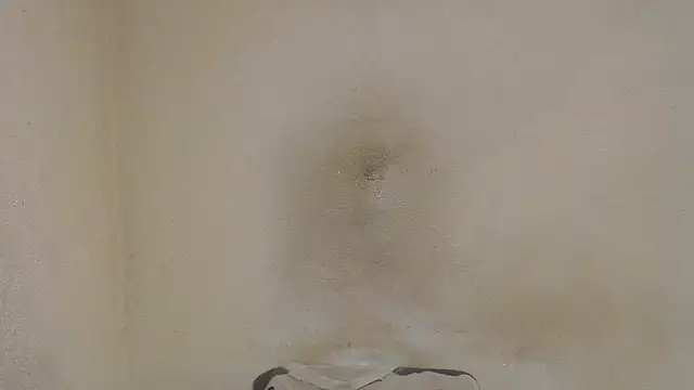 AlexNudo online show from January 21, 4:23 pm