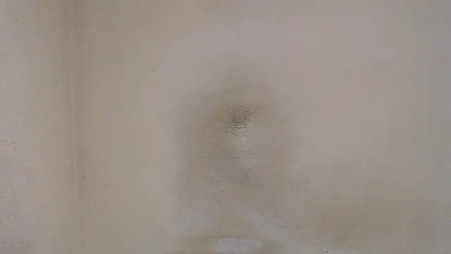 AlexNudo online show from February 10, 8:53 am