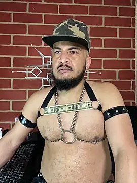 the master foal  online show from February 4, 2:34 pm