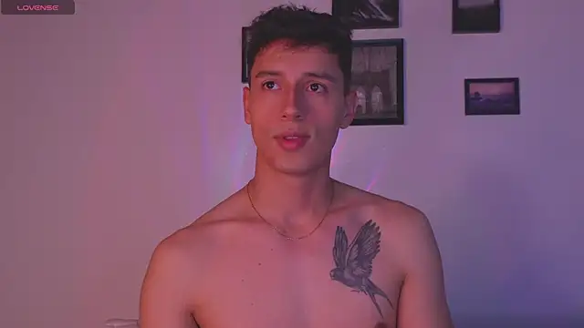 I Gabriel online show from January 12, 3:32 am