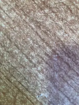 gokhanbey34 online show from October 26, 8:49 am