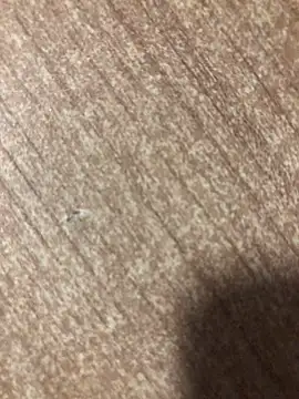 gokhanbey34 online show from October 2, 12:25 am