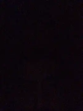 gokhanbey34 online show from January 23, 11:05 pm