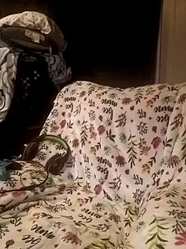 Snapshot of ShadowyTube chatting on February 19, 6:33 am ShadowyTube online show from February 19, 6:33 am