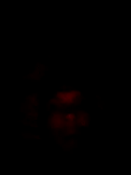 Snapshot of liderek83 chatting on October 30, 12:02 am liderek83 online show from October 30, 12:02 am