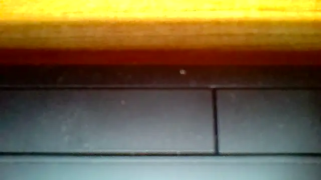 woww791 online show from October 5, 12:58 am