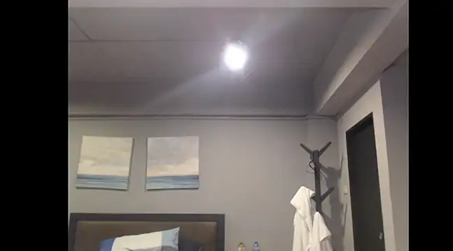 rawdawgrex online show from March 2, 4:29 am