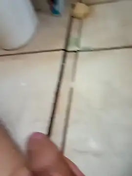 pirucudo17 online show from November 8, 11:35 am