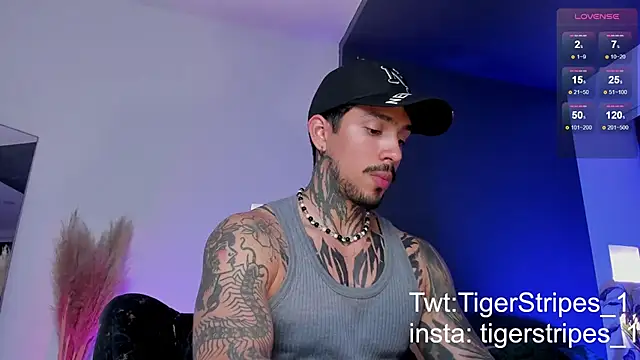 TigerStripes1  online show from March 19, 12:59 am