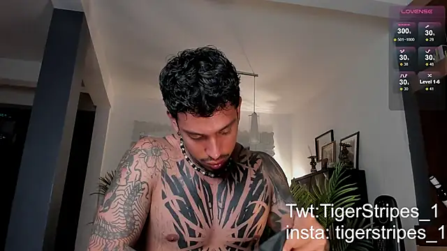 TigerStripes1  online show from February 28, 12:43 am